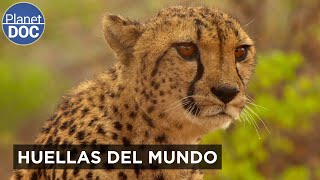 Thumbnail del capítulo