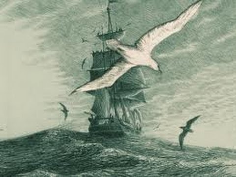 Moby Dick   Audiobook  Part 3