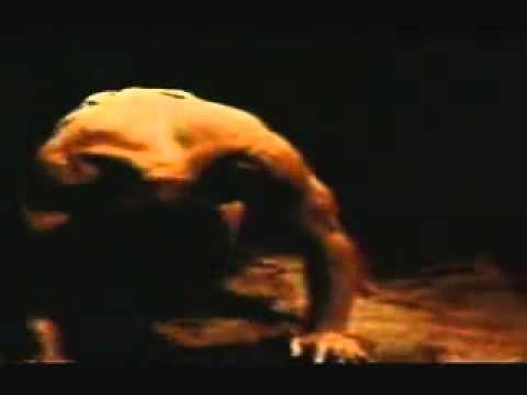 The Full Muscle Match Hercules vs Black Muscle