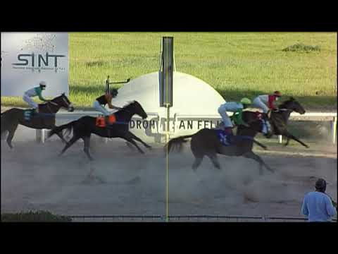 201105 c08 - 1° PAMPLINA - SINT-PAYSANDU