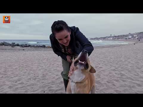vaguito / de las calles, al cine.