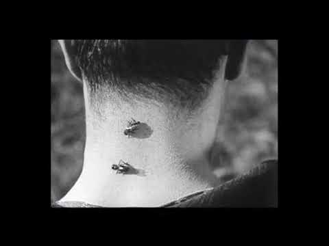 Slapstick clips - Remember When (1925)