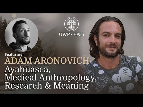 Universe Within Podcast Ep55 - Adam Aronovich - Ayahuasca, Medical Anthropology, Research & Meaning