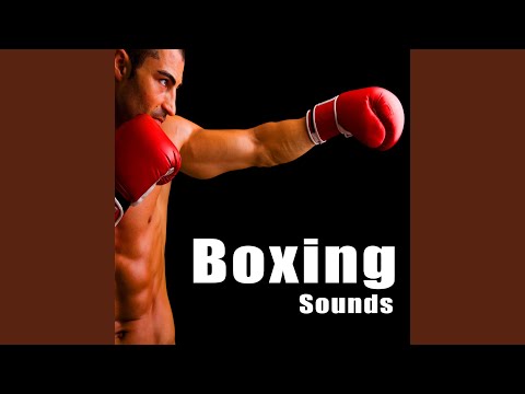 Large Indoor Boxing Crowd with Applause & Cheering