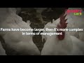 Poultry ERP Software for Profitable Poultry Business | Poultry Care