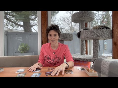 TAURUS JANUARY 2023 - "Love Wins...if You Allow it"