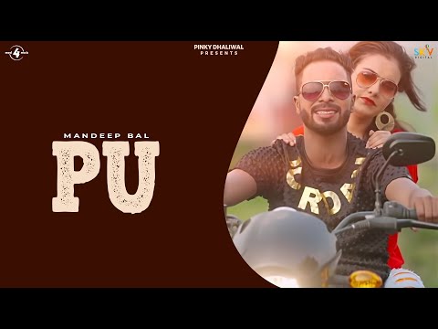 PU Punjab University