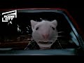 Stuart Is Chased By Cats Stuart Little Michael J Fox Chazz Palminteri