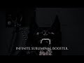 INFINITE SUBLIMINAL BOOSTER SUPERNATURALLY FAST IMMEDIATE RESULTS 1X