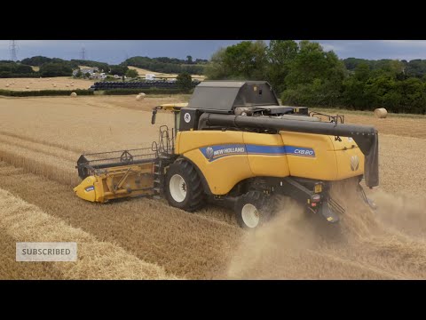 Harvesting Wheat Baling Straw!