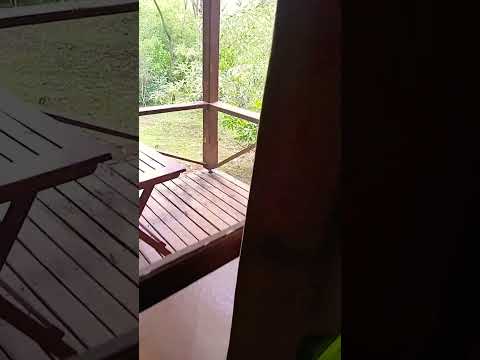 cabaña piel de timbre en aristobulo del valle misiones