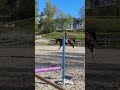 Super jument dressage par Glamourdale gros potentiel