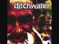 Ditchwater Thankless