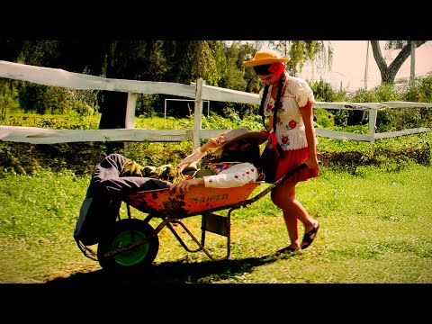 Las Churas - Mi Mocito