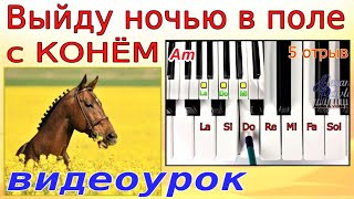 КОНЬ (Любэ)~Играть пианино~Ля мин~УРОК пошагово~аккорды~текст~Amin