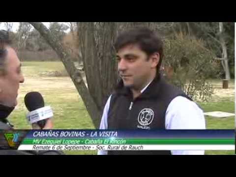 Cabañasbovinas.com - Ezequiel Lopepe