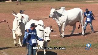 Miniatura do vídeo