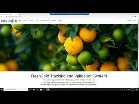 The Analogue Collective By Intisar Constant , Haadiya Jeelabdeer , Kirin Maharaj , Richard Delbridge