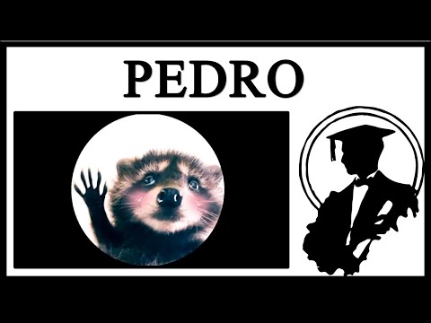 Pedro The Dancing Raccoon Is Taking Over