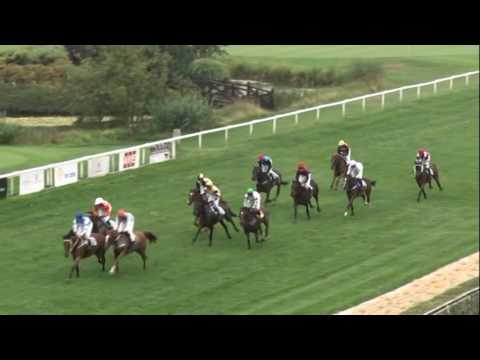 KV, 24. 7. 2016, 6. dostih - Cena JATKY ČESKÝ BROD a.s.