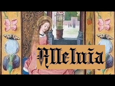 Dominica III Adventus - Excita Domine potentiam (Alleluia)