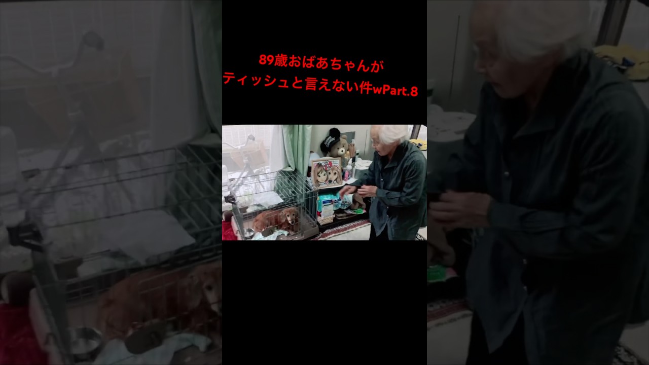 89歳おばあちゃんがティッシュと言えない件についてw Part.8 #shorts #ぷくさん