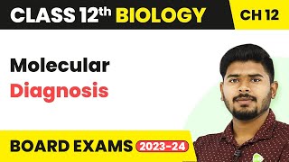 Molecular Diagnosis - Biotechnology and its Applications | Class 12 Biology Ch 12 NCERT/NEET 2022-23