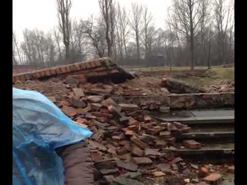 ONDA TG 27.01.2014 - GIORNATA DELLA MEMORIA 2014