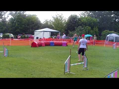 2018-05-27 Tavaszi Agility Találkozó - Eszti&Fly kezdő 1. futam
