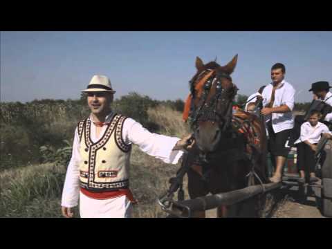 Daniel Trifu-"Drumul pe care merg eu"