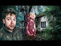 Something Is Wrong With This Abandoned Forest House
