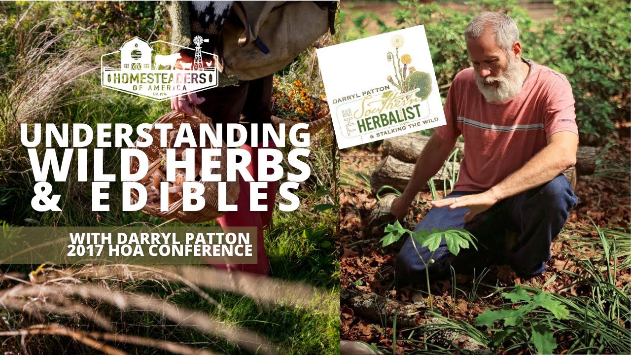 Understanding Wild Herbs & Edibles | Darryl Patton, Homesteaders of America 2017