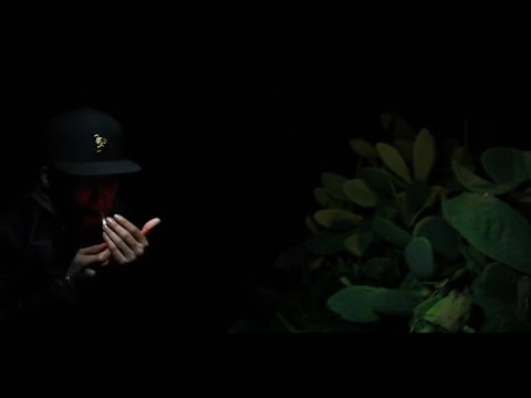 Video thumbnail for Volando Recto