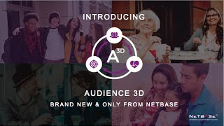 NetBase video