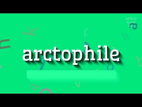 ARCTOPHILE - HOW TO PRONOUNCE ARCTOPHILE?