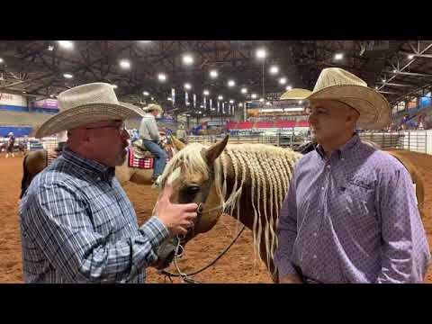 CQHA with Cody Sapergia at the Lazy E Arena