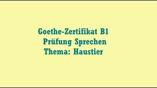 Lesen B1 Prüfung Goethe Kênh Video Giải Trí Dành Cho Thiếu Nhi