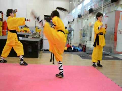 Shaolin Training  by Wu Yiting 少林迷踪拳 Mizong Quan