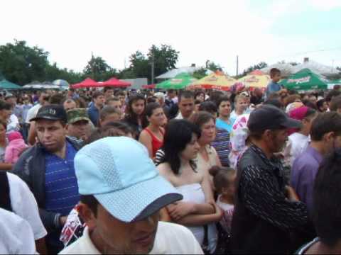 Puiesti 12 06 2011 6