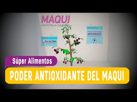 Mijo dieta para la diabetes La tasa de azúcar en la sangre de una vena en los hombres después de los 40 años
