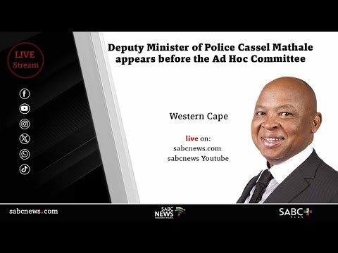 Parliament Ad Hoc Committee | Deputy Police Minister Cassel Mathale