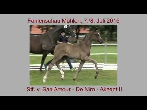 Stf v San Amour x De Niro