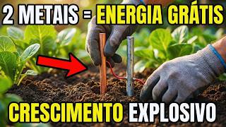 Conectar Dois Metais Dobra O Crescimento Das Plantas — O Segredo Da "Bateria Terrestre"