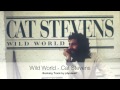 Wild World - Cat Stevens [Instrumental Cover by ...