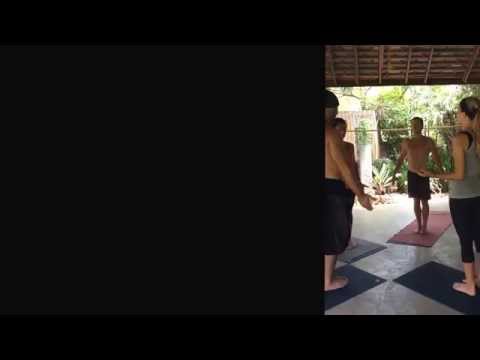 Yoga :: Teacher Training | Koh Samui, Thailand | August 2015 | Kittens at play... {MC Yogi}