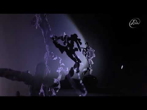 SHADOW DANCING by Diet Wiegman Andy Simons