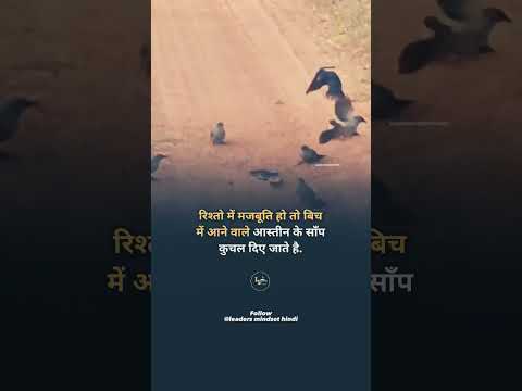 #shailu #motivation #shortvideos #hardwork #viral #love #motivational