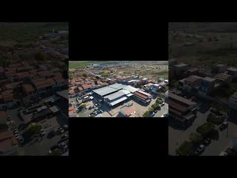 GAVIÃO BA VISTA DE CIMA