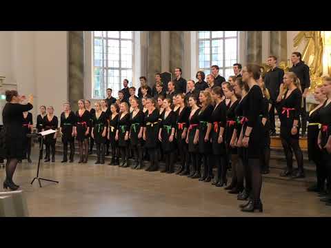 Steal away (Blackwell) - Jeugdkoor Waelrant (Borgerhout/Antwerp - Belgium)