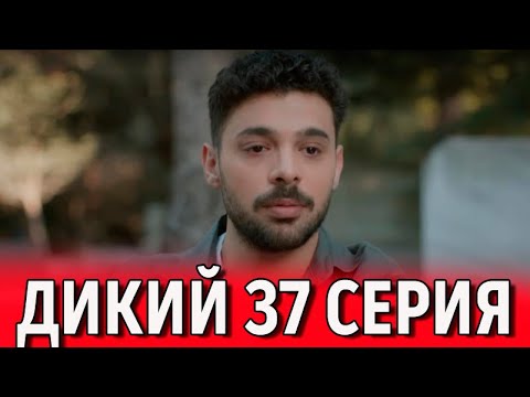 Дикий 37 серия на русском языке. Новый турецкий сериал. АНОНС